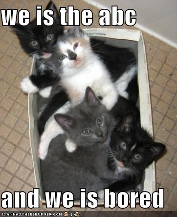 ABC kittehz are bored