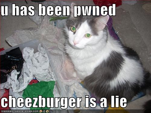 The cheezburger is a lie!